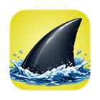 Tag Shark