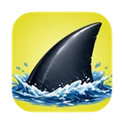 Tag Shark
